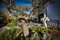 Tỷ phú Nga vung tiền mua dinh thự đắt nhất Israel