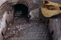 Khai quật lăng mộ nữ quý tộc nhà Đường, phát hiện điều khó tin