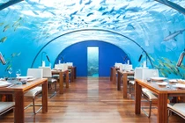 Cận cảnh nhà hàng kỳ lạ và nguy hiểm nhất thế giới