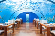 Cận cảnh nhà hàng kỳ lạ và nguy hiểm nhất thế giới