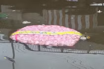 Tấn tỏi Trung Quốc trôi trên sông, khuyến cáo không được ăn