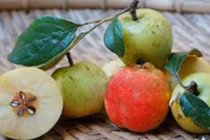 5 loại quả bà bầu không nên ăn, ngon mấy cũng phải kiêng