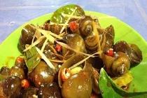 Bí quyết chọn ốc ngon béo ngậy ai cũng nên biết