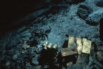 Khám phá "chén thánh" dưới lòng biển trị giá hàng tỉ USD