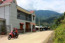 Sâm Ngọc Linh đã tạo nên "làng tỷ phú" giữa đại ngàn