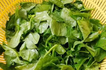 Lợi ích vàng của rau mồng tơi nhiều người chưa biết 