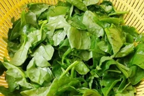 Lợi ích vàng của rau mồng tơi nhiều người chưa biết 