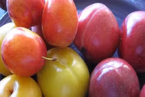 Điều cần lưu ý khi ăn mận ai cũng cần biết kẻo hối hận cũng muộn