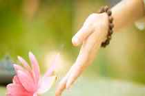 Phật dạy: Muốn hạnh phúc, hãy buông bỏ 2 điều