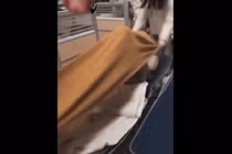 Video: Trào lưu mới dành cho các cô nàng siêu quậy