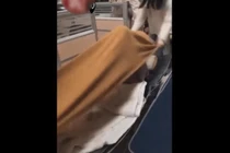 Video: Trào lưu mới dành cho các cô nàng siêu quậy