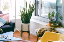 Sai lầm phong thủy cực phổ biến mà gia đình thường mắc phải