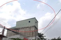 Ám ảnh... chim yến ở phố biển Rạch Giá