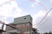 Ám ảnh... chim yến ở phố biển Rạch Giá