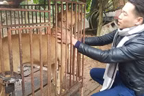 Hi hữu: Xin mang chó đi giám định để vạch mặt kẻ trộm chó