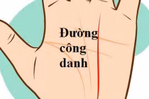 Nhìn đường chỉ tay công danh, biết ngay ai vượng phát, ai lận đận khó khăn