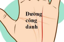 Nhìn đường chỉ tay công danh, biết ngay ai vượng phát, ai lận đận khó khăn