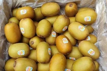 Loại quả một thời hàng VIP nhập khẩu, nay rẻ hơn trái cây Trung Quốc