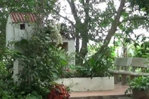 Câu chuyện bí ẩn về cái chết của hai cô gái trẻ 