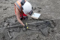 Phát hiện bộ xương nguyên vẹn 500 năm tuổi dưới cống nước ở Anh