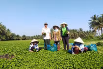 Khởi nghiệp theo cách này, 9x có doanh thu hàng tỷ đồng