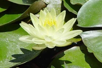 Câu chuyện về đại tỷ phú lạ lùng khiến nhân sinh phải suy ngẫm