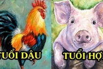 3 con giáp tài lộc dồi dào bất ngờ từ đầu tháng 8 trở đi