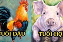 3 con giáp tài lộc dồi dào bất ngờ từ đầu tháng 8 trở đi