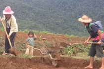 Bi kịch của những sơn nữ dọa "cưỡi lá về trời" để được lấy chồng