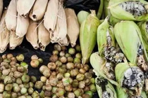 Ngô mọc dị vật, người dại vứt đi, người sành đem bán kiếm bộn tiền