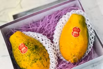 Đu đủ Nhật 1 triệu đồng/kg khiến chị em "sốt sắng" lùng mua