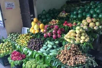 Thanh long rẻ như cho, ra Hà Nội thành đắt gấp 25 lần