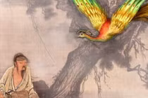 Người trí tuệ, 2 việc cần tránh