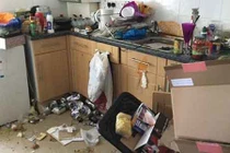 Cho thuê nhà, sốc với cảnh tượng kinh hoàng khi nhận lại