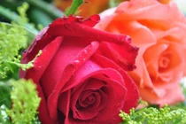 Trẻ sinh ra vào 3 giờ khung giờ Âm lịch này, tài năng hơn người