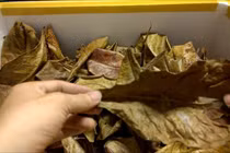 Đồng nát sắt vụn điện tử, món nào món ý đắt khách không ngờ