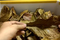 Đồng nát sắt vụn điện tử, món nào món ý đắt khách không ngờ