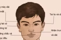 Đàn ông quý tướng làm quan, phụ nữ lấy được hưởng phước một đời