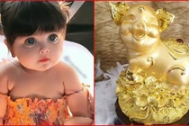 Thực hư sinh con năm Kỷ Hợi 2019 là bắt được heo vàng