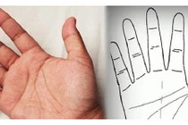 Bói tính cách qua chiều dài của ngón đeo nhẫn và ngón trỏ