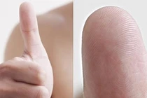 Vị trí và số lượng hoa tay tiết lộ con đường tình duyên 