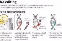 Loại siêu vũ khí khiến con người “khổ sở hơn cả cái chết”