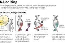 Loại siêu vũ khí khiến con người “khổ sở hơn cả cái chết”