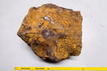 Đào được cục đá sau vườn nhà, 31 năm sau mới biết đây là "báu vật"