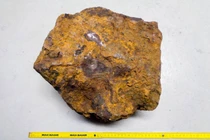 Đào được cục đá sau vườn nhà, 31 năm sau mới biết đây là "báu vật"