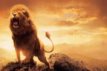 Bạn đồng hành bí ẩn cùng Tôn Ngộ Không cầu Đạo là ai?