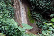 Bí ẩn người đàn ông chết trong tư thế treo cổ trong rừng