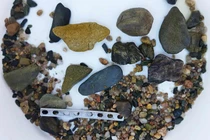 Mổ bụng cá sấu khổng lồ, phát hiện dấu hiệu 'ăn thịt người'