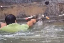 Video: Cười ngả nghiêng xem trai làng Vạn Phúc rẽ nước thi bắt vịt