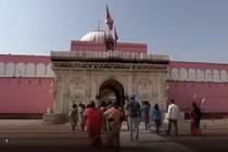 Video: Dân địa phương uống sữa chung với 25.000 con chuột 